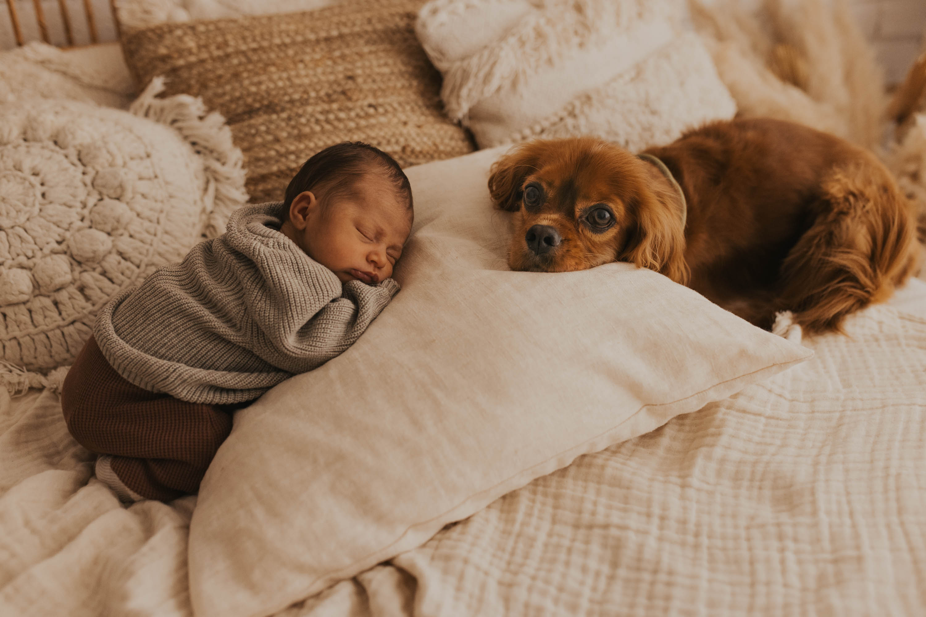 Fotografin Rostock Neugeborene Babyfotografie 5